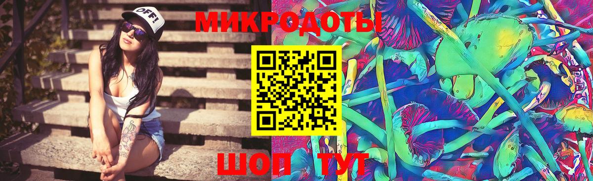 Псилоцибиновые грибы прущие грибы Среднеуральск